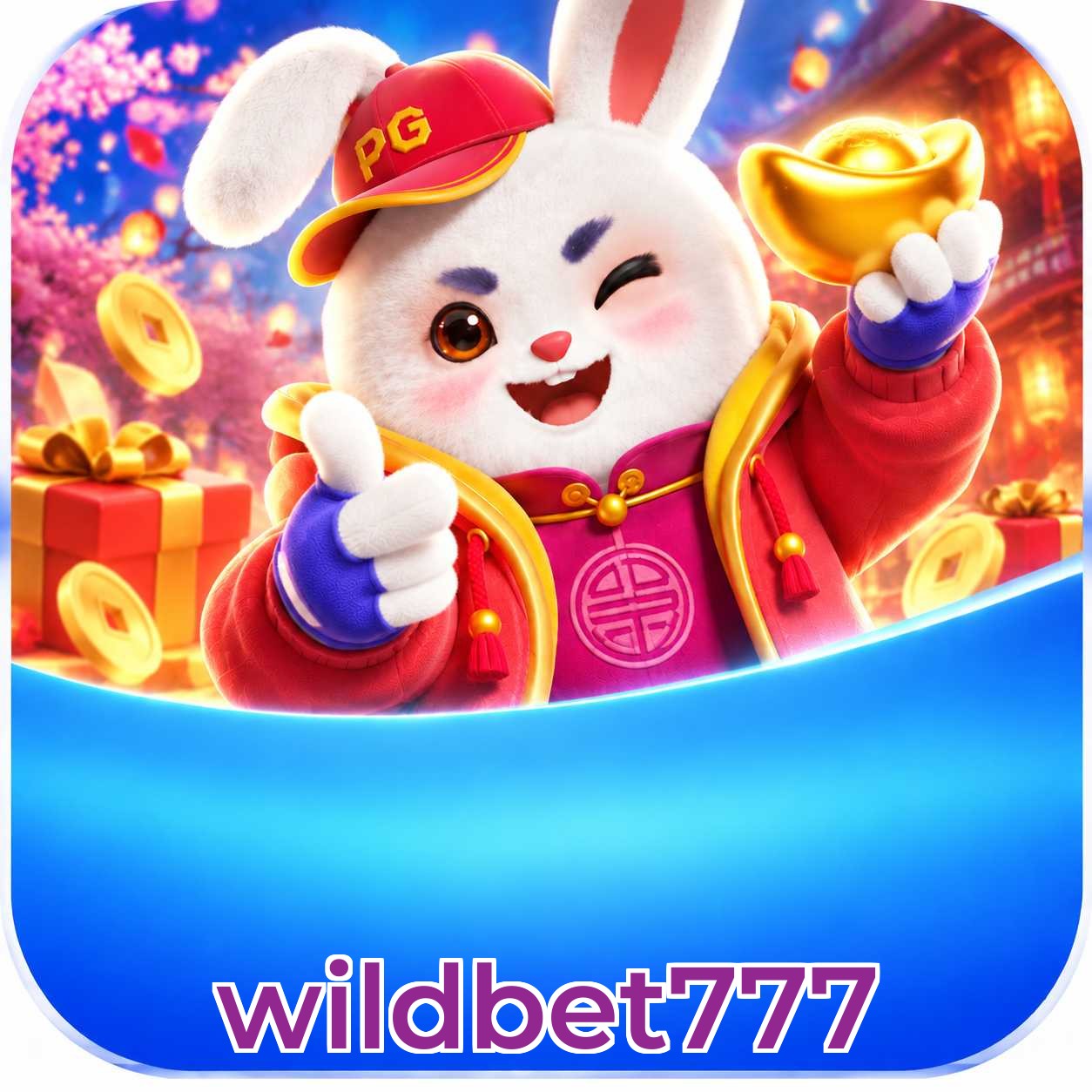 wildbet777 FAQ