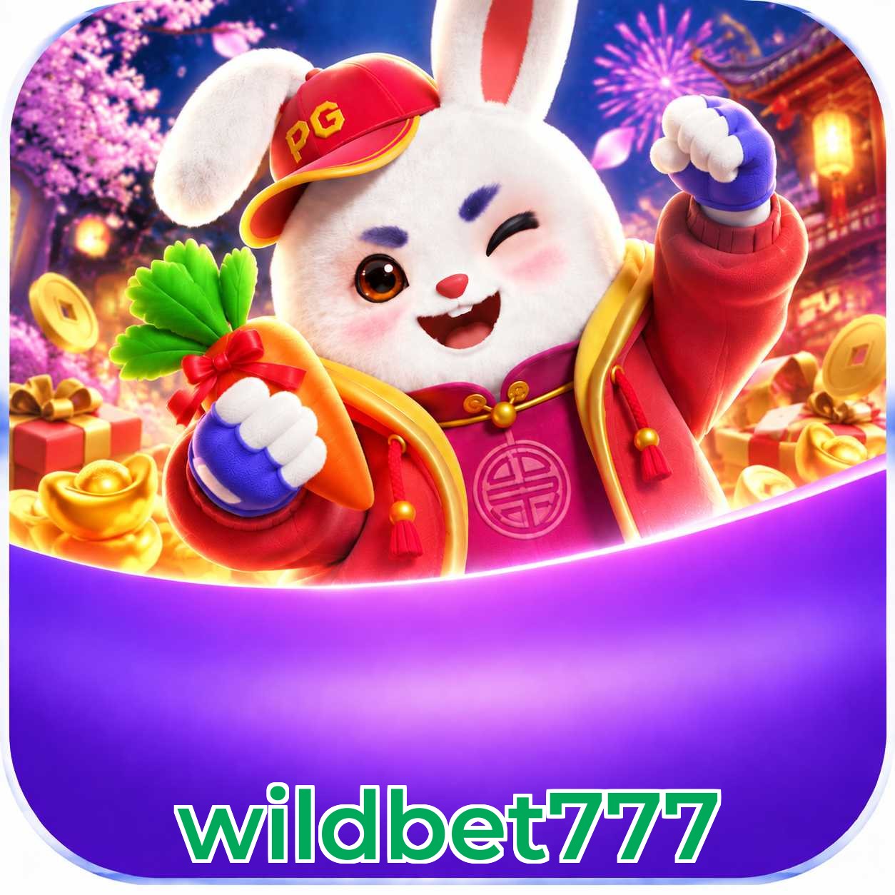 wildbet777 FAQ