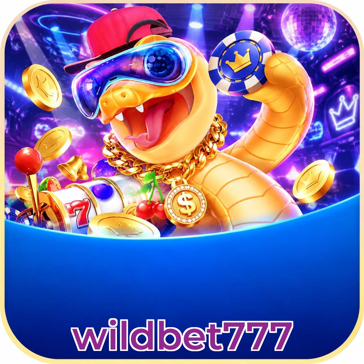 wildbet777 Final Verdict